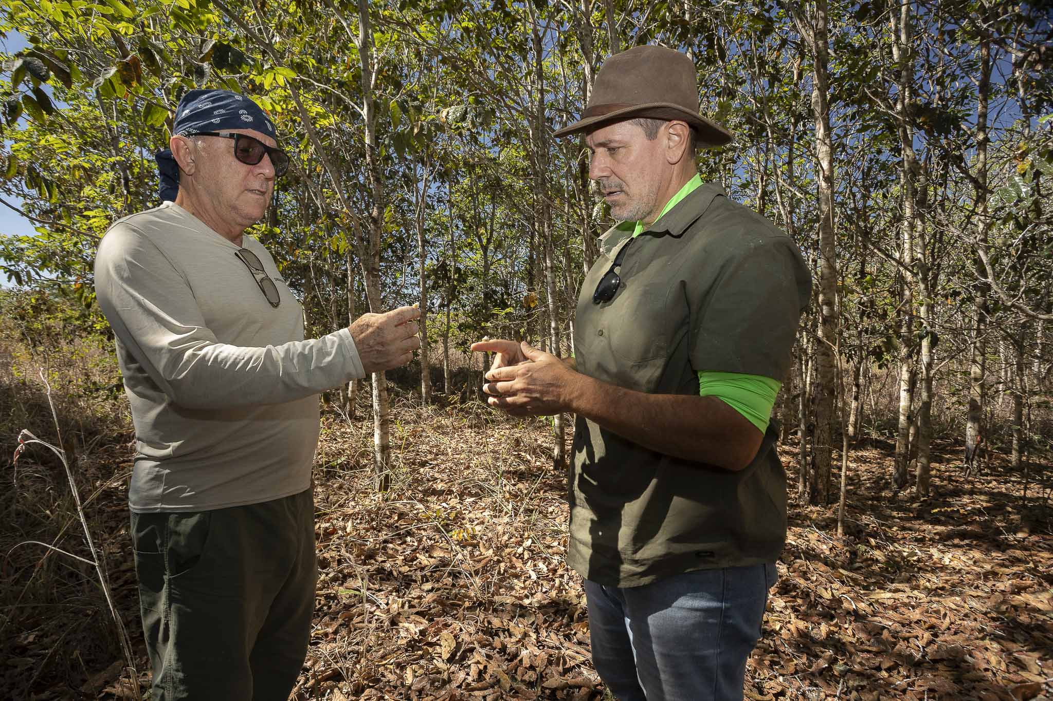 Imagem Restauração Ecológica PA4--2 da expedição de expedicoes/restauracao_25